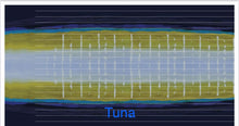 Load image into Gallery viewer, &quot;Fired Up Series&quot; Vinyl Lure Skirts