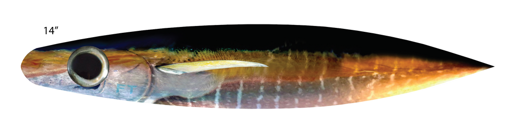 14” Tuna Dredge Strips