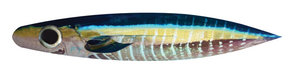 14” Tuna Dredge Strips